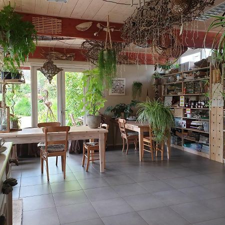 Appartementen Het Oude Atelier Schoorl Zewnętrze zdjęcie