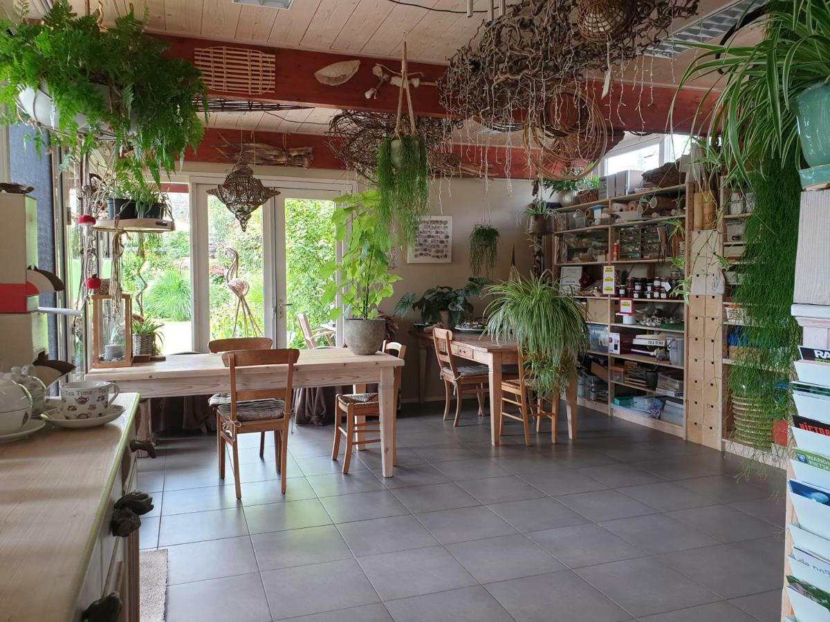 Appartementen Het Oude Atelier Schoorl Zewnętrze zdjęcie